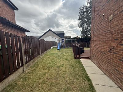 Picture 25